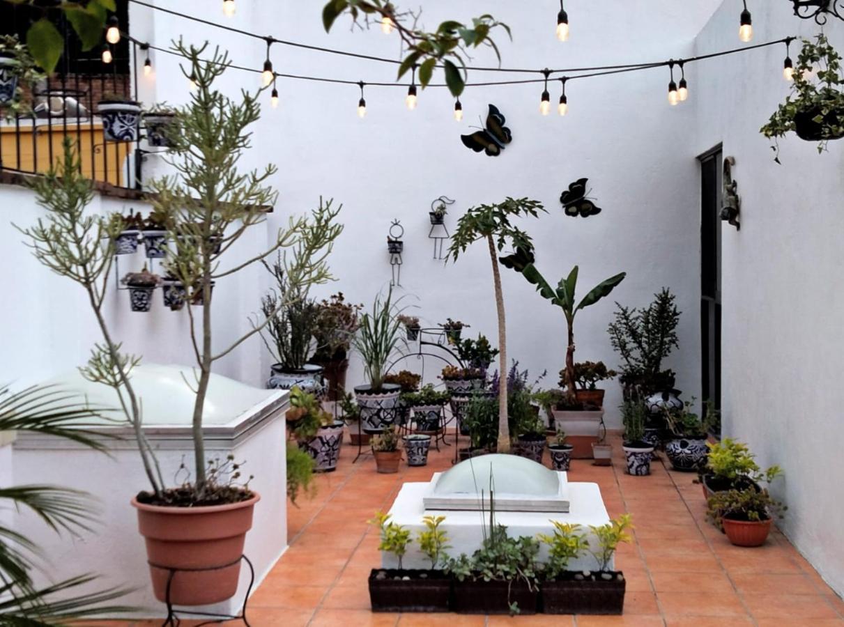Villa Sueno Azul B&B Guanajuato Dış mekan fotoğraf